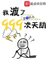 游戏人生火鸟汉化